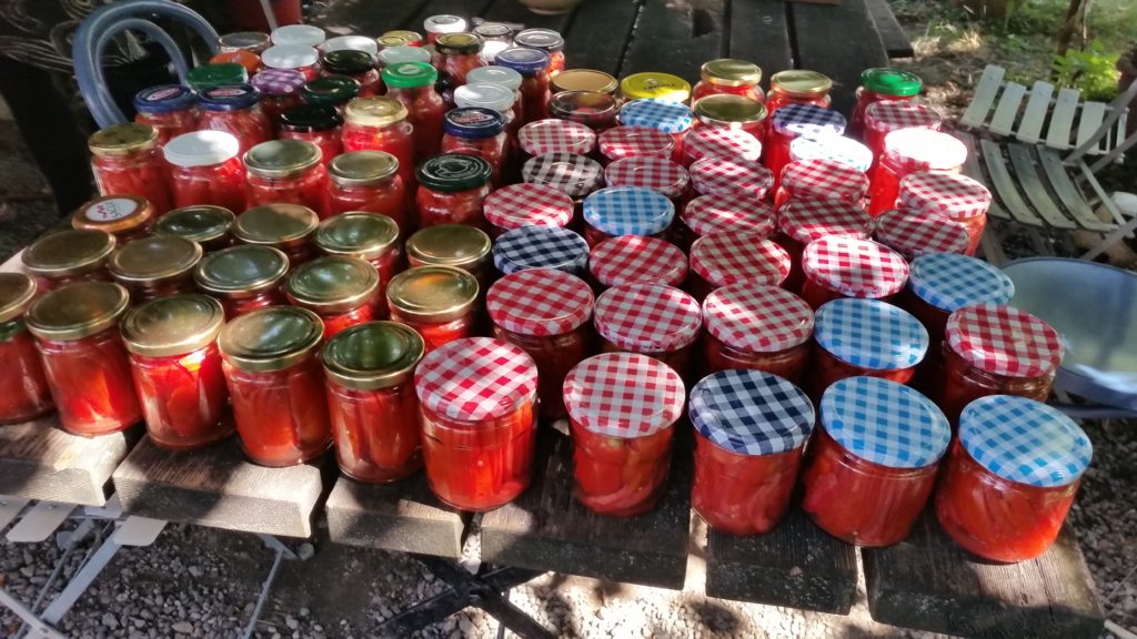 Notre production de tomates stérilisées